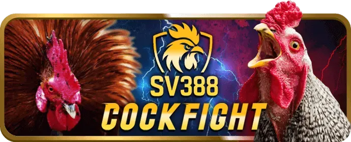 Giao diện Đá Gà trực tuyến ebet casino với các trận đấu sôi động